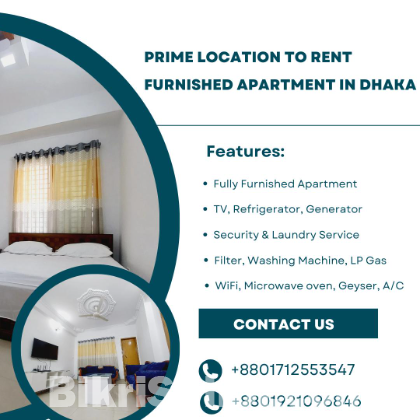 Two Room Furnished Studio Apartment RENT in Bashundhara R/A.